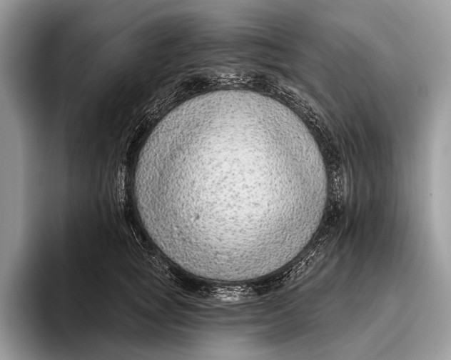 X0000095930757200802011021