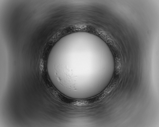 X0000095930758200802011021