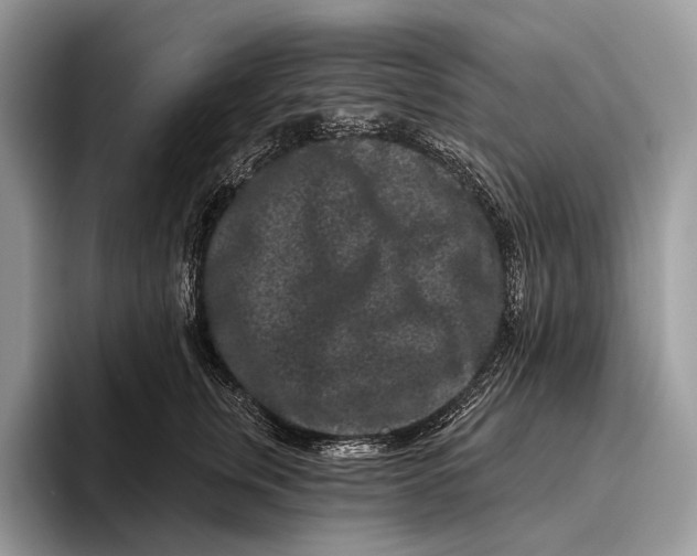 X0000095930759200802011021