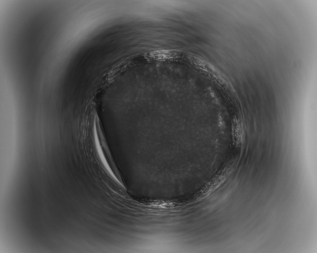 X0000095930760200802011021