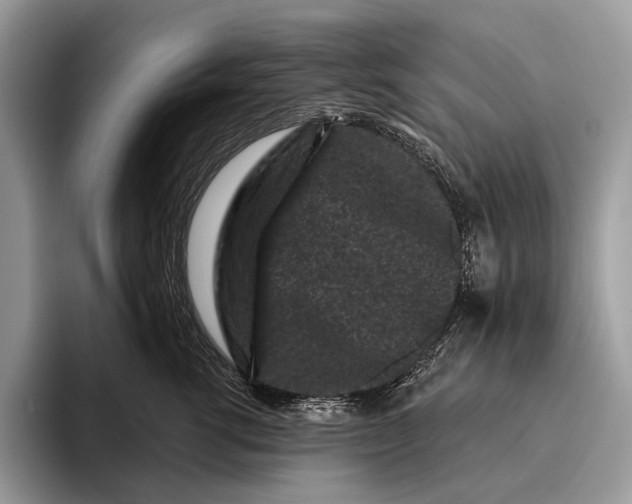 X0000095930762200802011021
