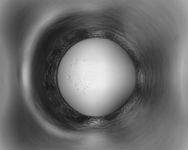 X0000095930764200802011021