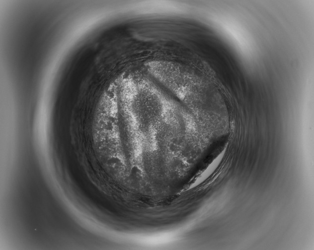 X0000095930765200802011021