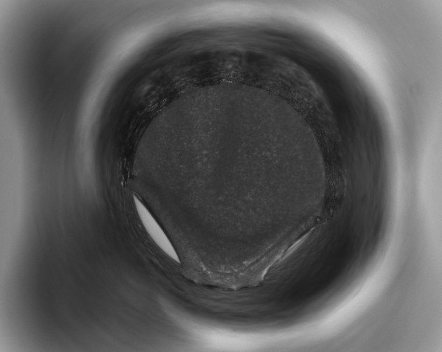 X0000095930766200802011021