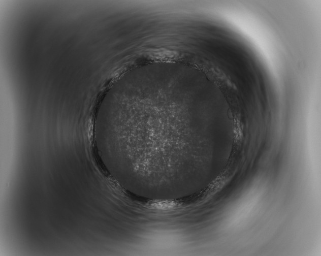 X0000095930767200802011021
