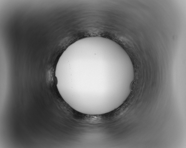 X0000095930768200802011021
