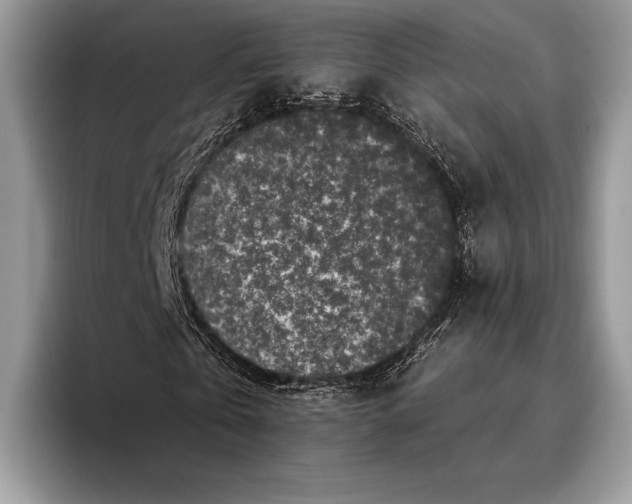 X0000095930769200802011020