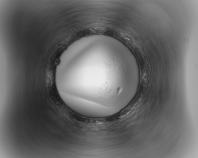 X0000095930772200802011020