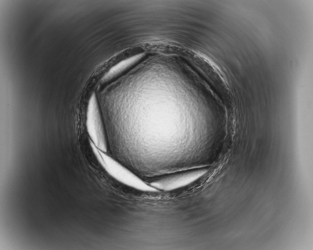 X0000095930775200802011020