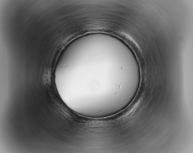 X0000095930777200802011020