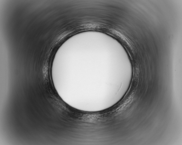X0000095930778200802011020