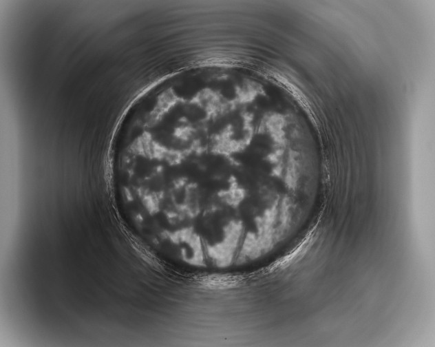 X0000095930779200802011020