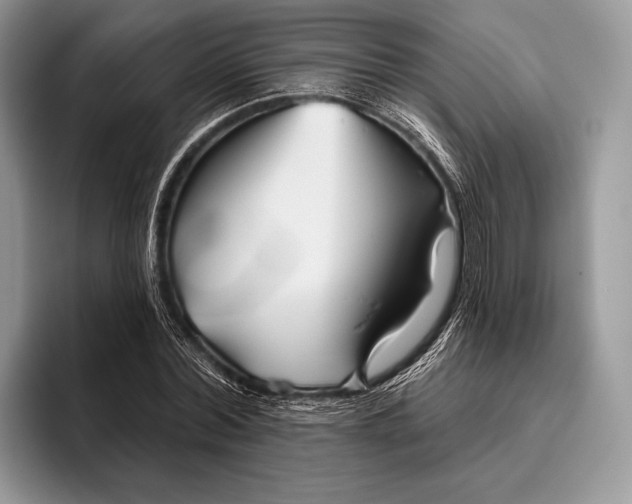 X0000095930780200802011020