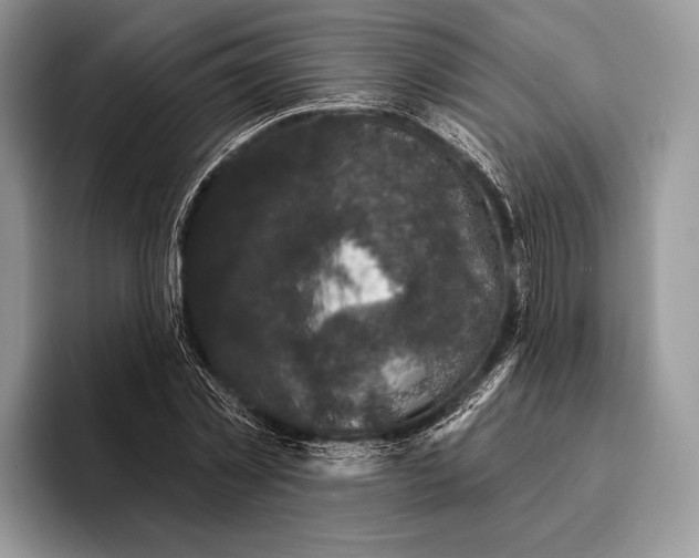X0000095930781200802011020