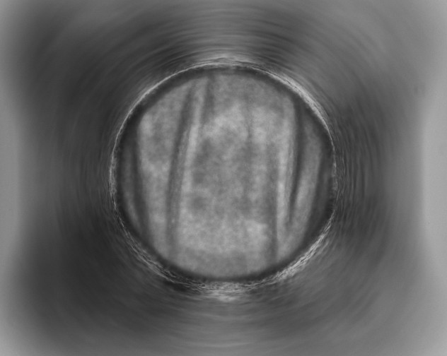 X0000095930783200802011020