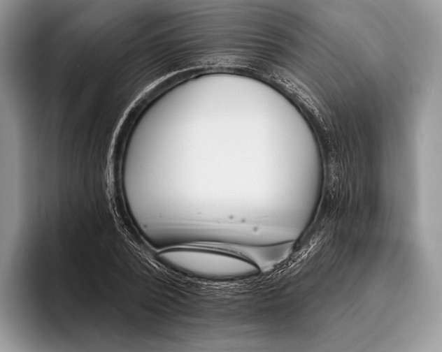 X0000095930784200802011020
