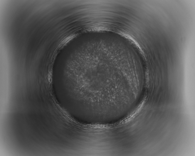 X0000095930785200802011020