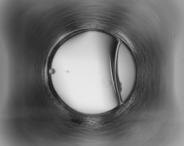 X0000095930788200802011020