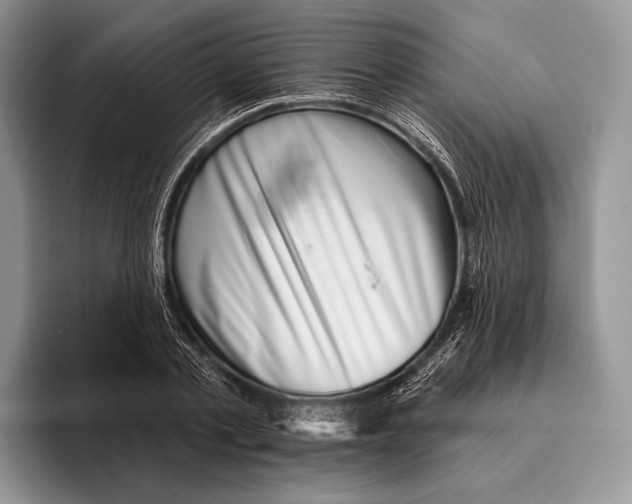 X0000095930789200802011020