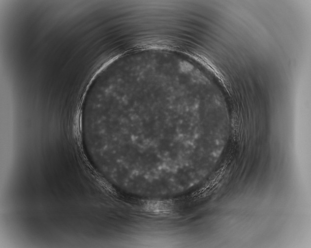 X0000095930790200802011020