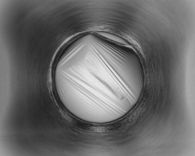 X0000095930792200802011020