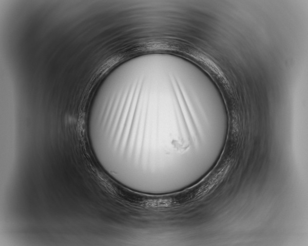 X0000095930793200802011020