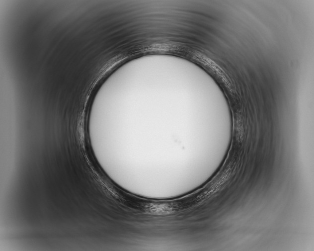 X0000095930794200802011020