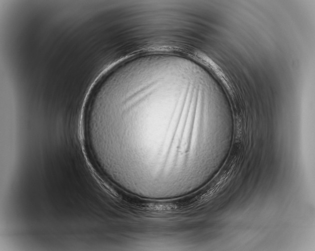 X0000095930795200802011020