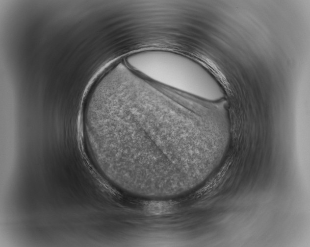 X0000095930796200802011020