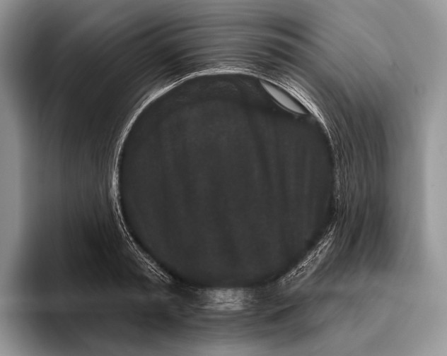X0000095930797200802011020