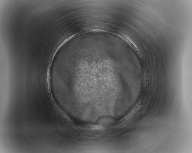 X0000095930798200802011020