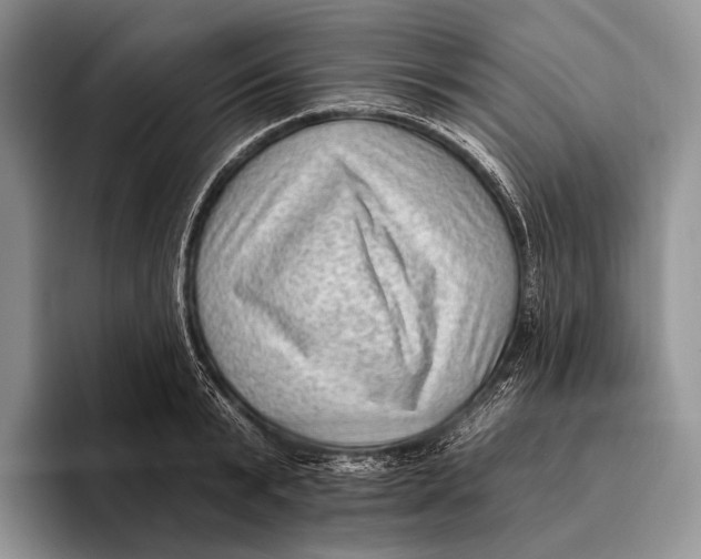 X0000095930799200802011020