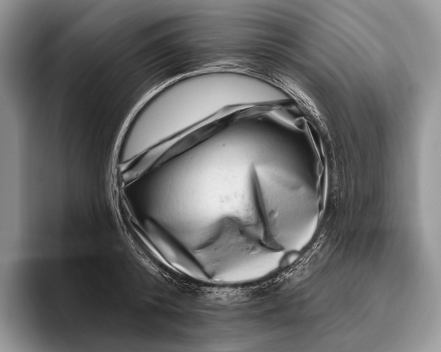 X0000095930800200802011020