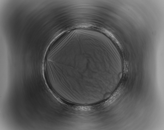 X0000095930802200802011020