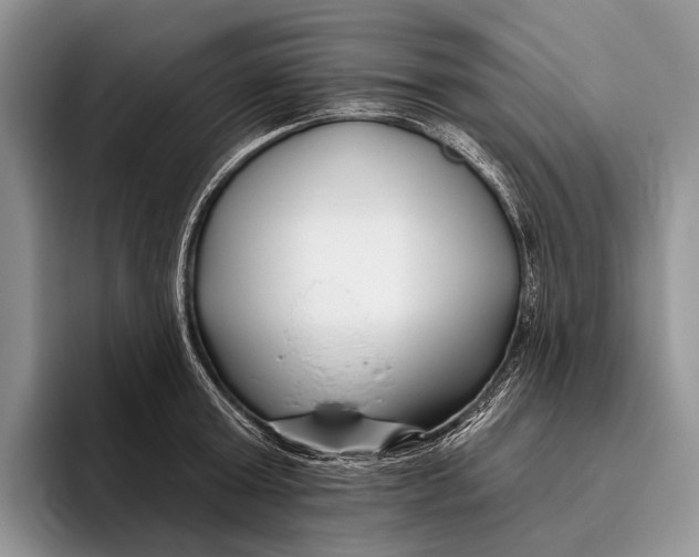 X0000095930803200802011020