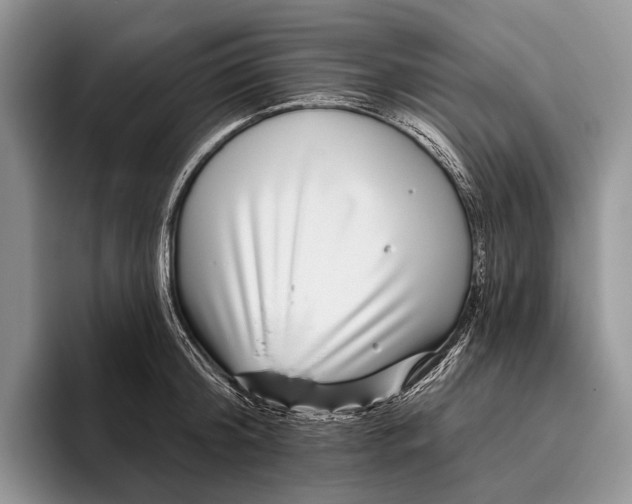 X0000095930804200802011020