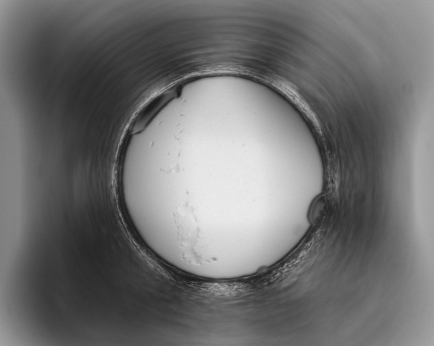 X0000095930805200802011020