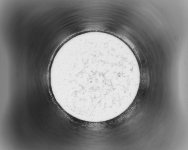 X0000095930807200802011020