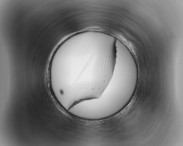 X0000095930808200802011020