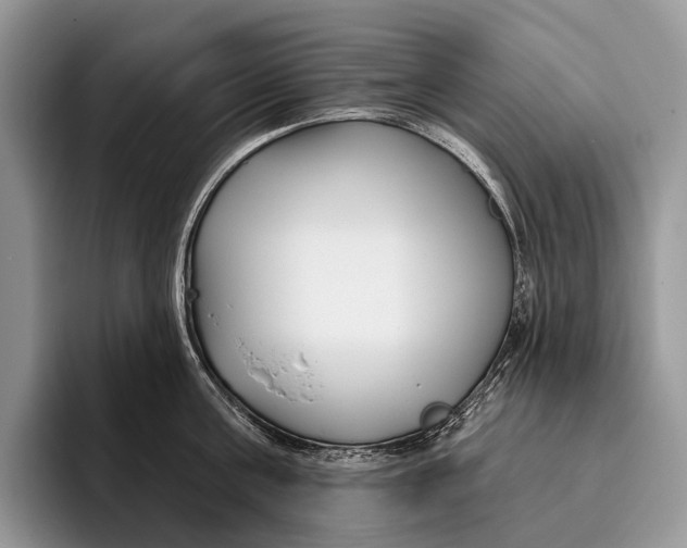 X0000095930811200802011020