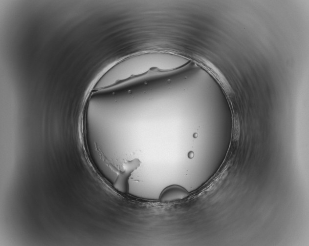 X0000095930812200802011020