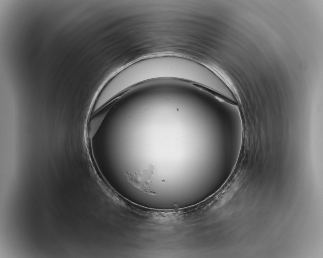 X0000095930813200802011020