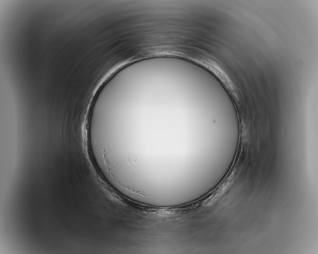X0000095930814200802011020