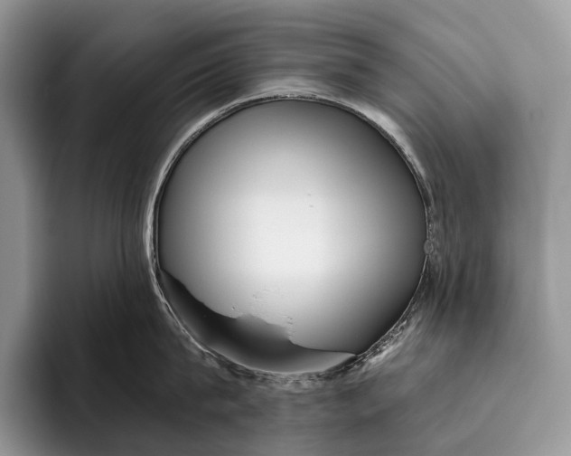X0000095930815200802011020