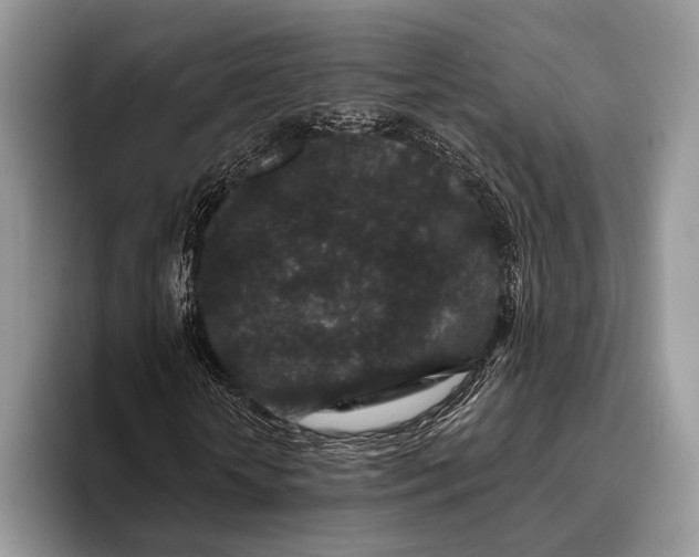 X0000095930818200802011019