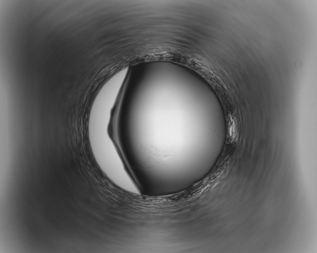X0000095930819200802011019
