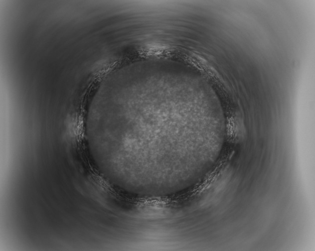 X0000095930820200802011019