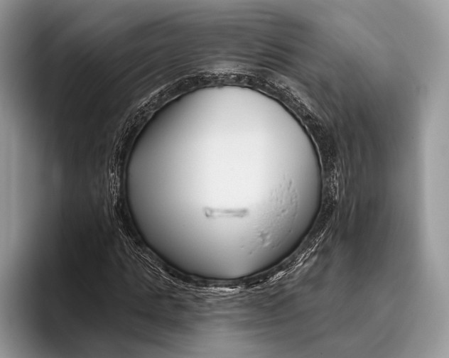 X0000095930821200802011019