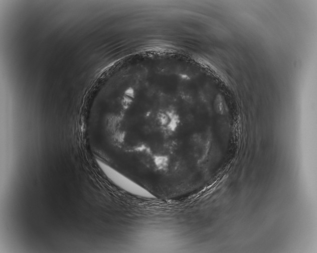 X0000095930822200802011019