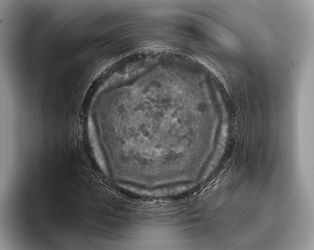 X0000095930823200802011019